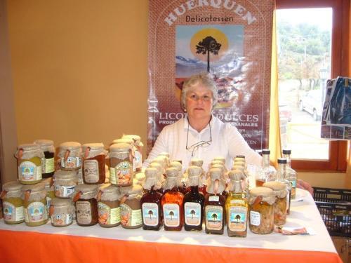 Lodge Caba�as Huerquen
