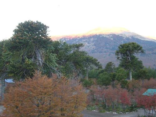 Lodge Caba�as Huerquen