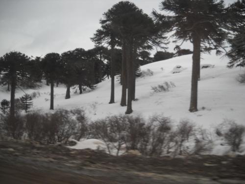 Lodge Caba�as Huerquen