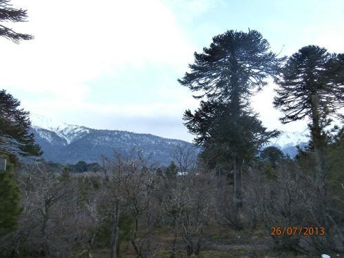 Lodge Caba�as Huerquen