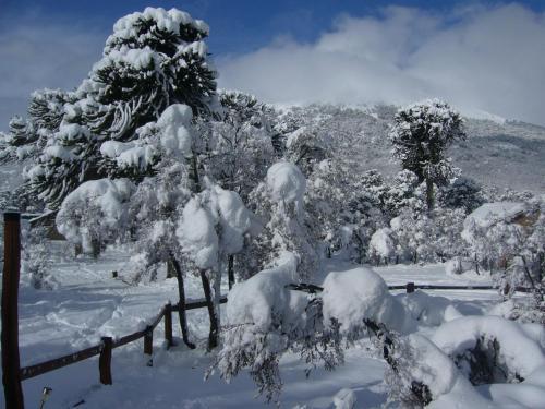 Lodge Caba�as Huerquen