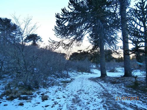 Lodge Caba�as Huerquen