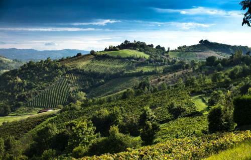 Agroturismo Locanda Gli Ulivi