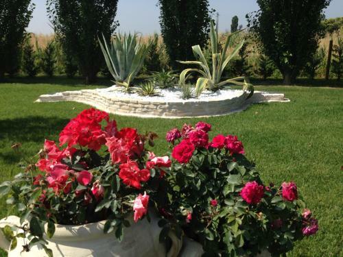Hotel Bussana