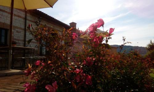 Agroturismo Parco Ducale Country House