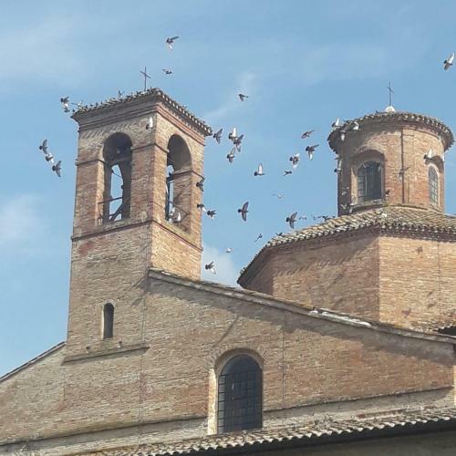 Agroturismo Parco Ducale Country House