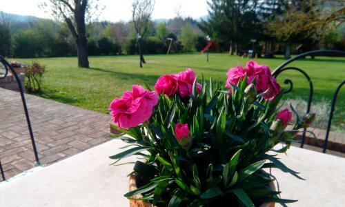 Agroturismo Parco Ducale Country House