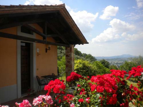 Agroturismo Il Poggio Degli Olivi