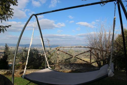 Agroturismo Il Poggio Degli Olivi