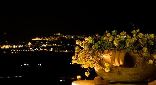 Agroturismo Il Poggio Degli Olivi