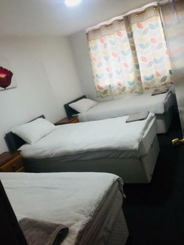 Hostal Prime Lodge