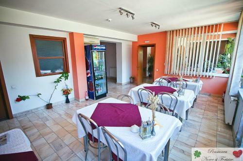 Hostal Noroc Si Fericire