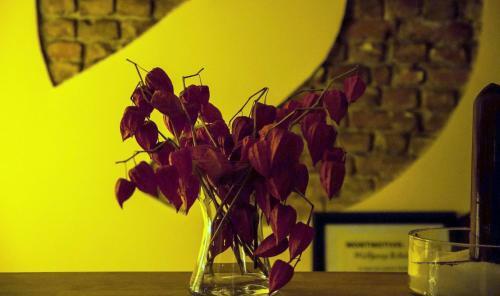 Hostal Pension Freiraum Berlin
