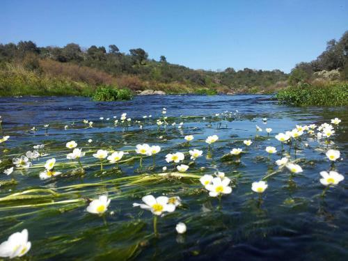 Agroturismo Finca La Ramallosa