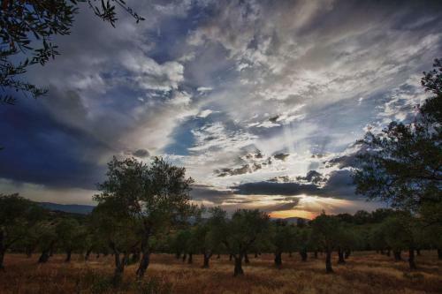 Agroturismo Finca La Ramallosa