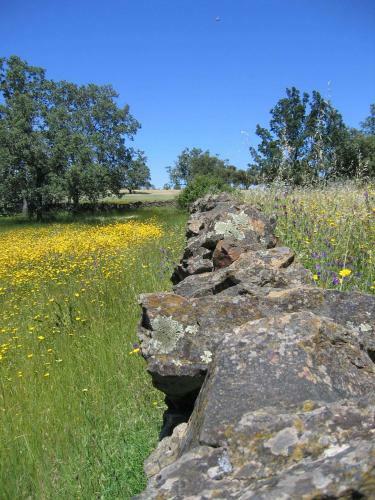 Agroturismo Finca La Ramallosa