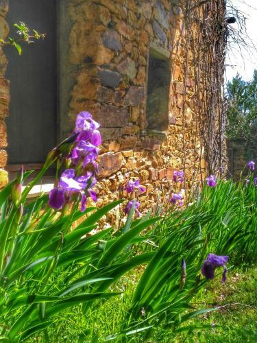 Agroturismo Finca La Ramallosa