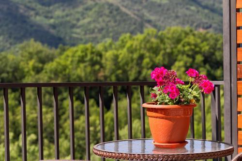 Apartaments Flor De Neu