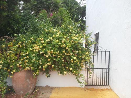 Agroturismo Cortijo De Vega Grande