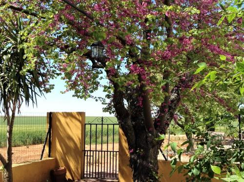 Agroturismo Cortijo De Vega Grande