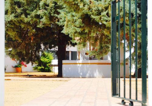 Agroturismo Cortijo De Vega Grande