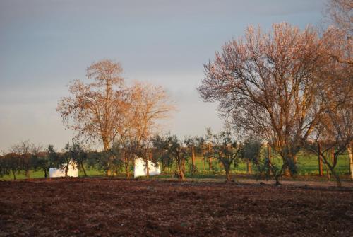 Agroturismo Cortijo De Vega Grande