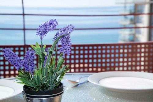 Apartamento Nautilus 22a