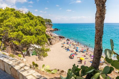 Arenda Holiday Home Masia 3