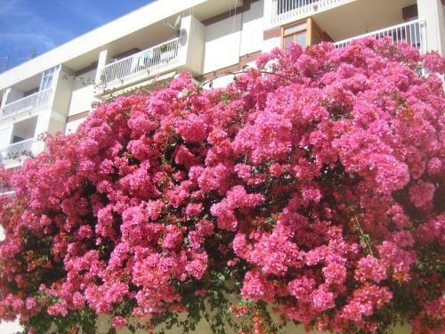 Apartamento Carabeo 2000 3.1
