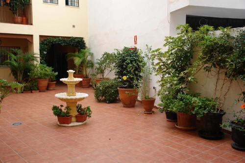 Apartamento Carabeo 2000 3.1