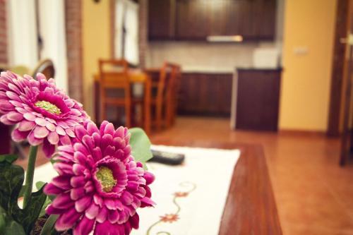 Apartamentos El Caser�n