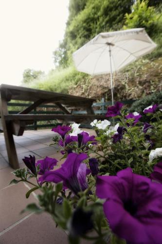 Apartamentos El Caser�n