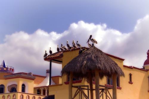 Bed & Breakfast Casa Kimberley