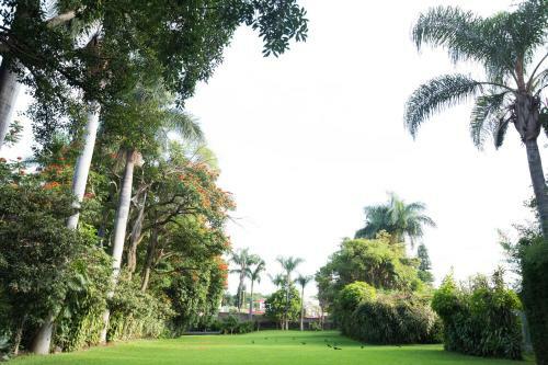 Hotel Jacarandas