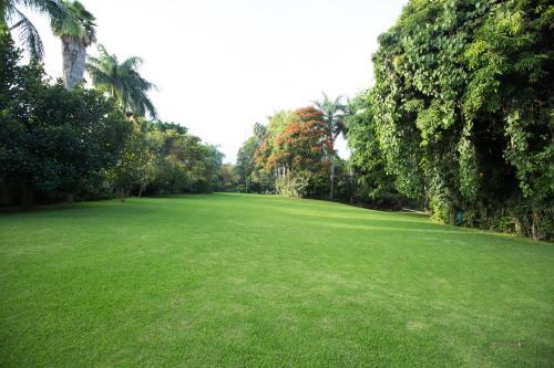 Hotel Jacarandas