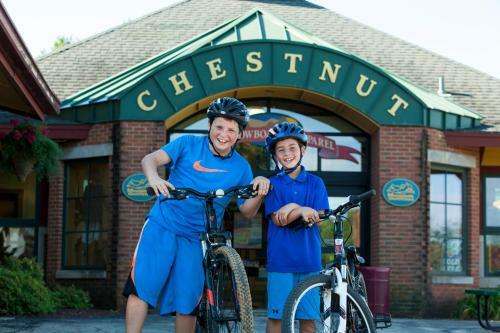 Hotel Chestnut Mountain Resort