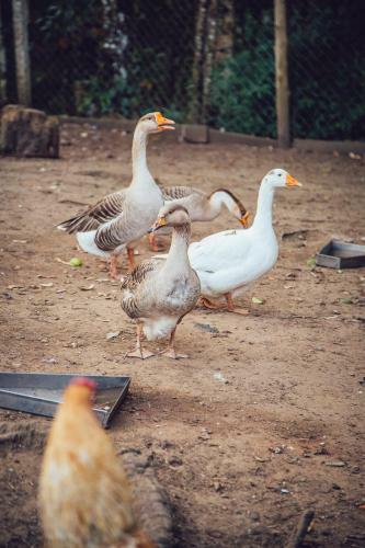Hotel Guanxi