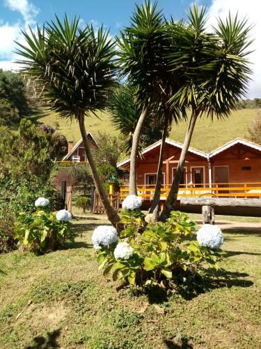 Hostal Chal�s Fazenda Vale Da Mata