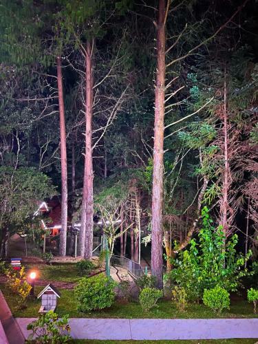Hostal Pousada O Cantinho Da Raposa