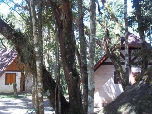 Hostal Ecos Da Terra Chal�s
