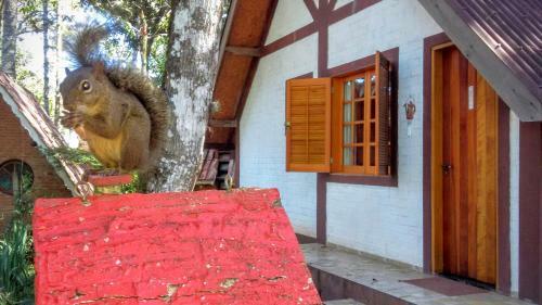 Hostal Ecos Da Terra Chal�s