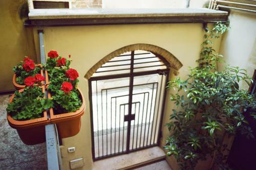 Hostal Romeo's Guest House