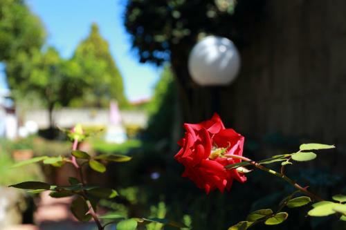 Bed & Breakfast Ambrosio Relais