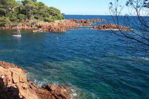 Frantheor Saint-raphael