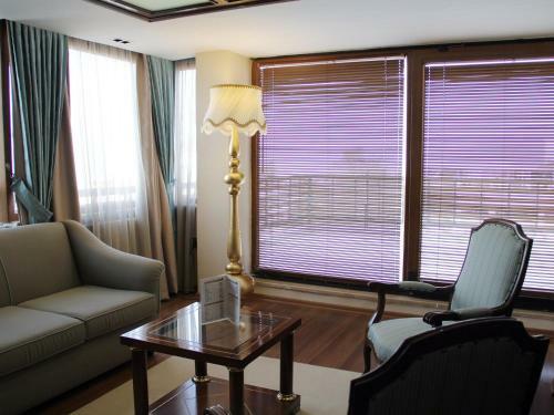 Hotel Arti�