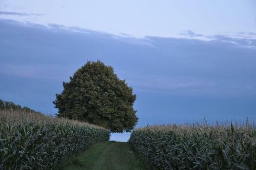 Apartamento Nussbaum