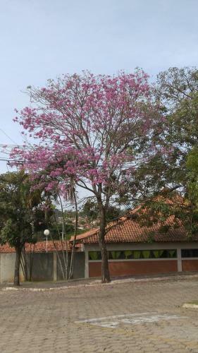 Pouso Gloria
