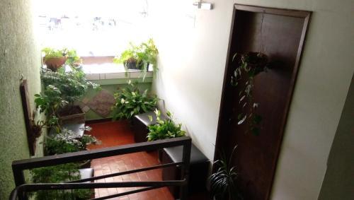 Hostal Hotel Roma