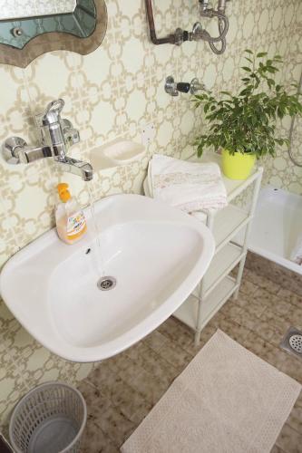 Apartments Antonieta