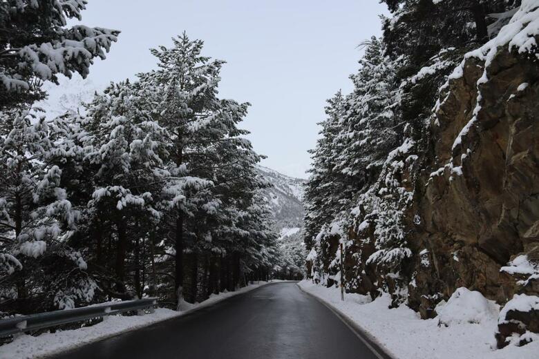 Apartaments La Neu